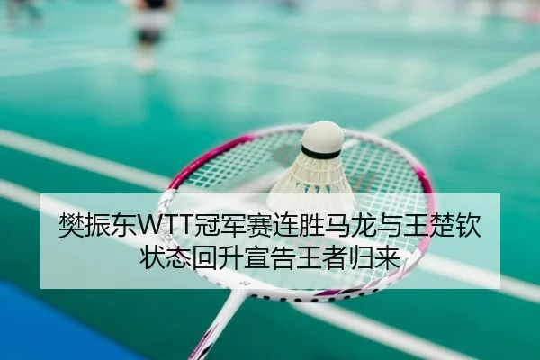 fan-zhen-dong-guan-jun-sai-lian-sheng-ma-long-yu-wang-chu-qin-zhuang-tai-hui-sheng-xuan-gao-wang-zhe-gui-lai-2-563.jpg